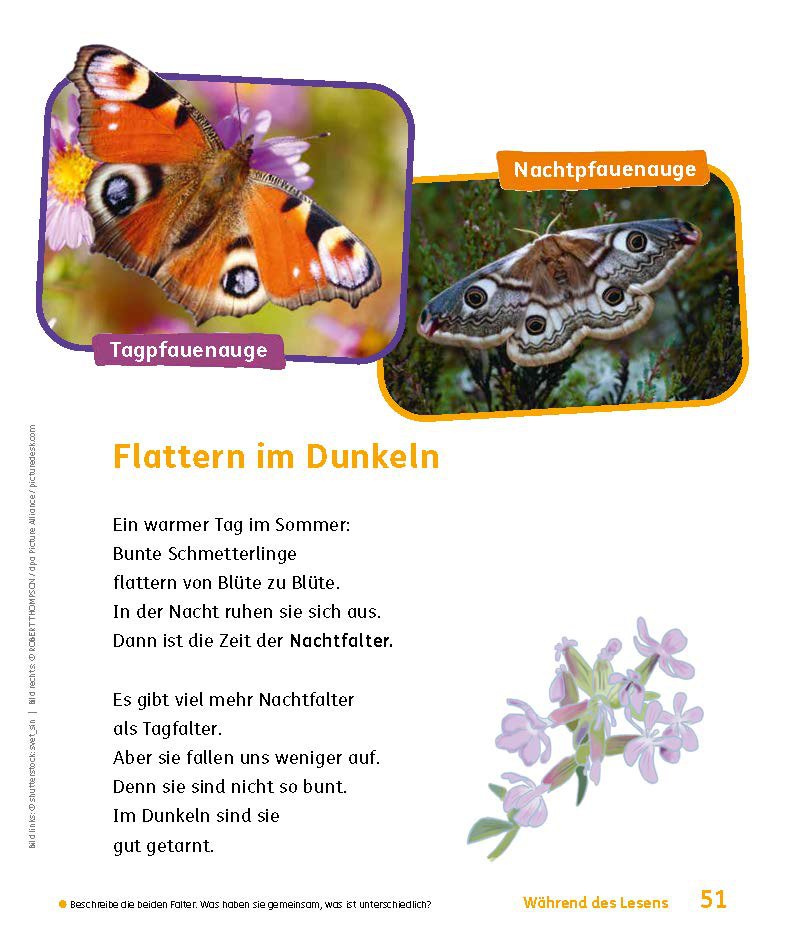 JB_2_Klasse_blaettern_Seite_53.jpg